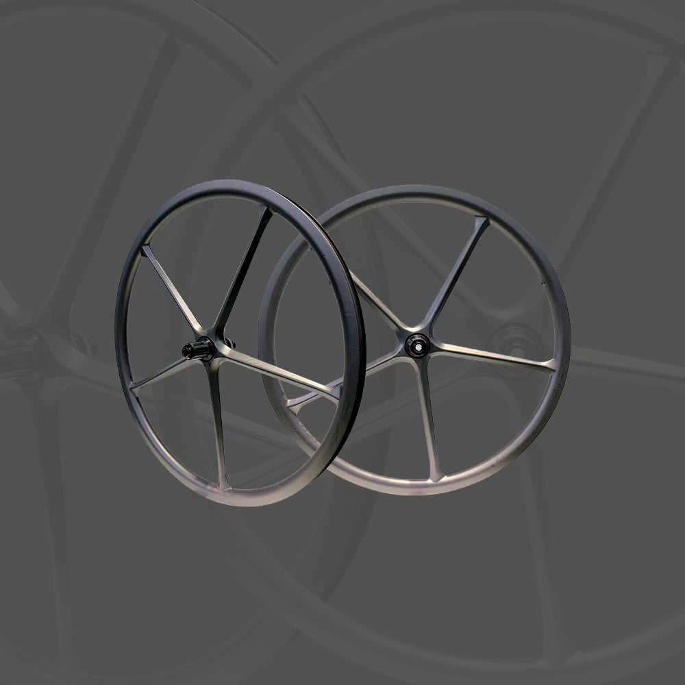 Paire de roues 5 bâtons à disc