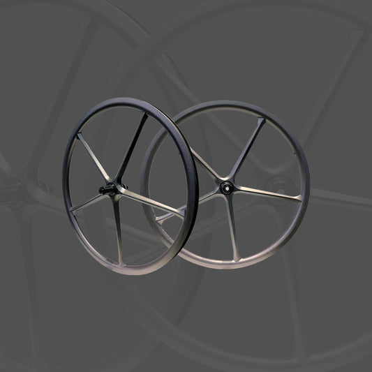 Paire de roues 5 bâtons à disc